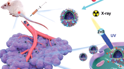 t(x)ĤFԼ{w Redbloodcellmembraneferromagneticnanoparticles