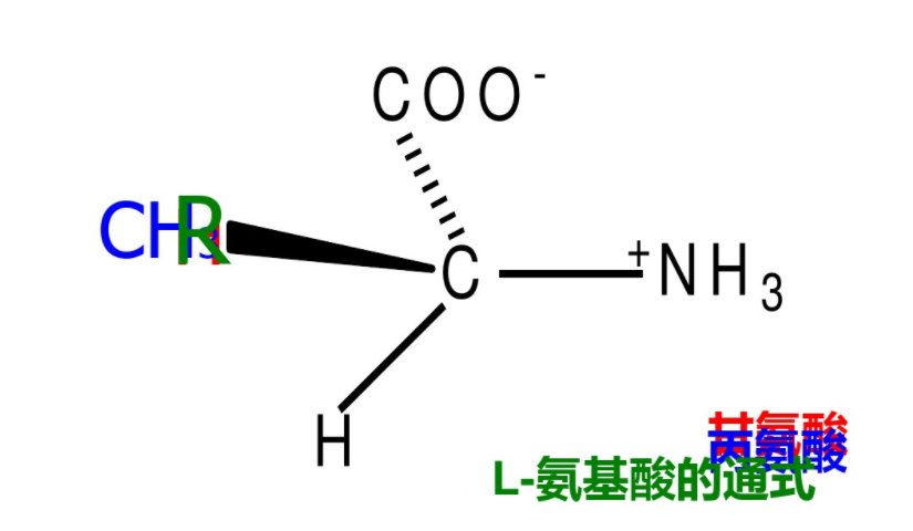 QQ؈D20200811101720.png
