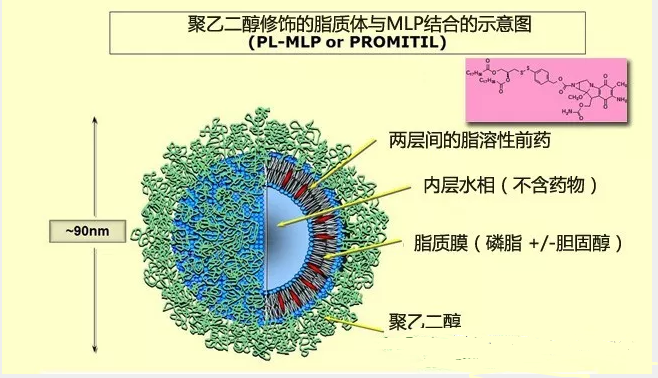 QQ؈D20200927101652.png