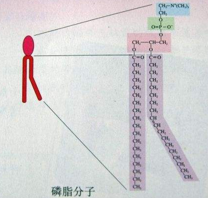 QQ؈D20201030095228.png