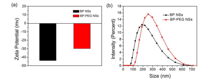 ׼{Ƭ(BP NSs)