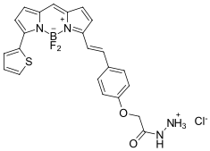 BDP 630/650 hydrazidecas2183473-43-8.png