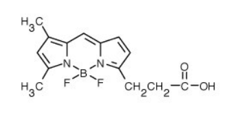 BODIPY FL4,4--5,7-׻-4-s-3a,4a-s-s-_ʡ-3-ᣩ.png