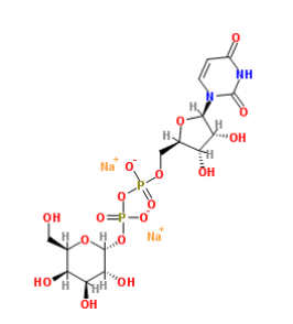 UDP--DǶc}.png