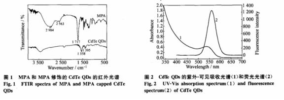3-ڻkc(din)(MPA-CdTeQDs).png