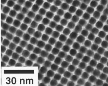 FePt Nanoparticles.png