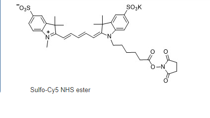ǻCy5-NHS .png