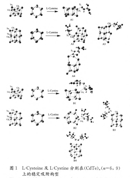L-װ-CdSc(din).png