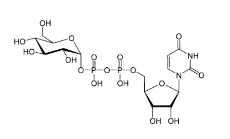 UDP-ǣUDP-Glc.png