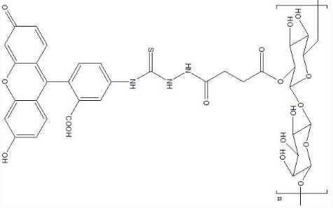 FITC-Dextran|ɹ(bio)ӛϾ(ϾǷx).png