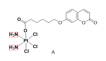 㶹ؘ(bio)ӛKCDDP.png