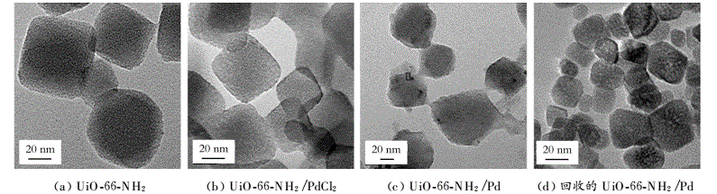 MOF|UIO-66-NH2 ,CAS:1260119-00-3ЙCؓ(f)dPd߻ĺϳc