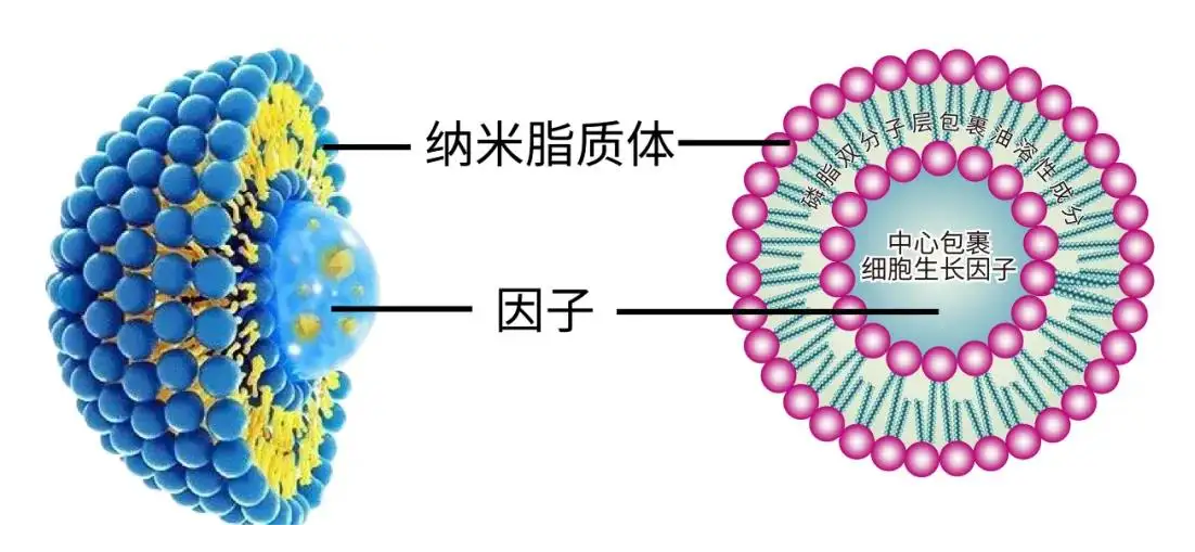 QQ؈D20220330104340.png