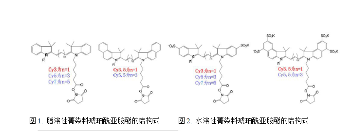 Cy3,Cy5Cy7ݼȾϵļl(f)L(zhng)VD