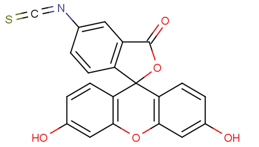 FITCɹ(bio)ӛ