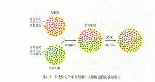 ͬλؘ(bio)ӛcɹ(bio)ӛą^(q)eЩ
