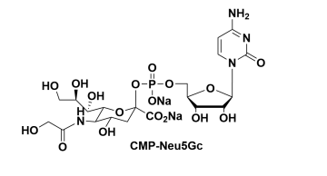 CMP-C9-Azido-Sialic Acid5'-B