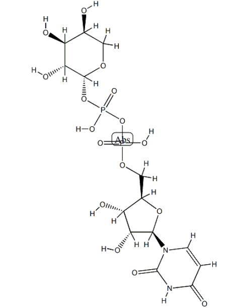 UDP-