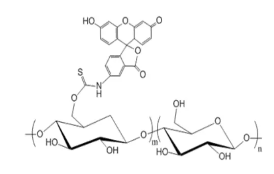 FITC-Dextran/FITC-Ͼ(Gɫɹ)