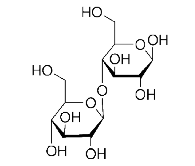 wS