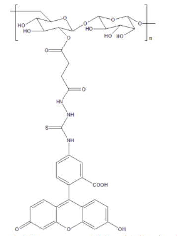 ɹ(bio)ӛϾ