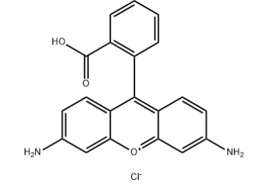 _(bio)ӛ
