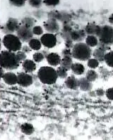 ΢Ž؈D_20220426141049.png