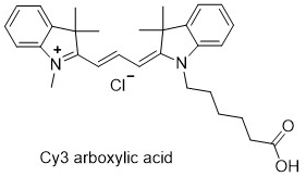 Cyanine3-Ȼ,Cy3-Acid,1361402-15-4,1032678-01-5,1251915-29-3