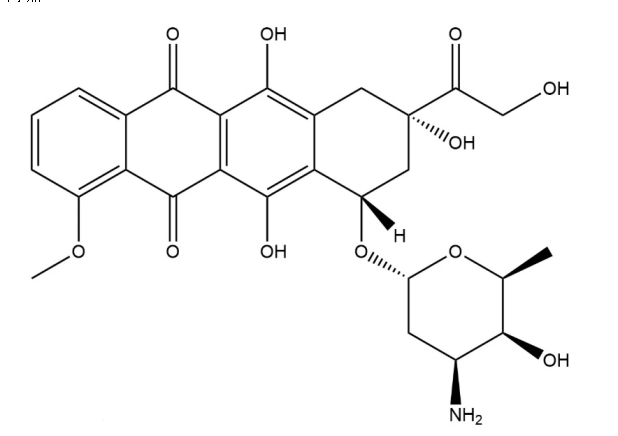 ù