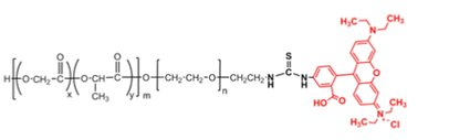 PLGA-PEG-RB/PLGA-b-PEG-RhB/ -uṲMW:10000,5000