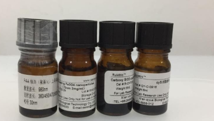 ݼGICG(bio)ӛ}/[} ICG-Calsequestrin ɹȾ
