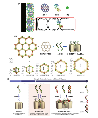 ЙC(j)MOF-53NPs