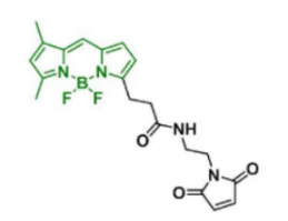 ɹȾBDP FL Maleimide  CAS:773859-49-7ʲôɫ
