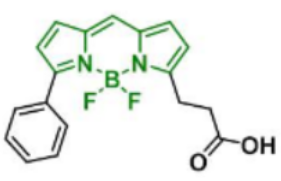 ɹȾBDP R6G carboxylic acid/COOH/ȻCAS:174881-57-3Ĵ惦lP(gun)a(chn)Ʒ