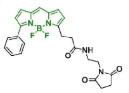 ɹȾBDP R6G maleimide/R(li)  CAS:2183473-32-5ļl(f)l(f)䲨L(zhng)Ƕ٣