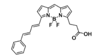 ɹȾBODIPY 581/591 carboxylic acid/COOH/ȻCAS:480999-04-0ﻯ(sh)Y(ji)(gu)ʽ