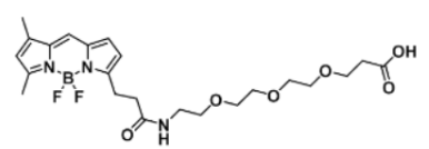 ɹȾBODIPY FL-PEG3-COOH/carboxylic acid/Ȼļl(f)l(f)䲨L(zhng)(sh)B
