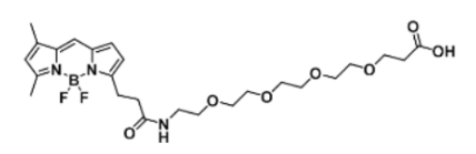ɹȾBODIPY FL-PEG4-COOH/carboxylic acid/ȻĮa(chn)Ʒ(sh)P(gun)a(chn)ƷB