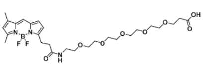 ɹȾBODIPY FL-PEG5-COOH/carboxylic acid/ȻᣬCAS:2093197-98-7ļl(f)l(f)䲨L(zhng)Ƕ