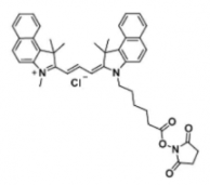 ɹȾCyanine3.5 NHS ester/(Methyl)  CAS:2231670-85-0֬Cy3.5 Щ܄