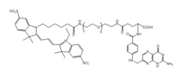 ɹȾCy3-PEG-Folate/Ҷ-~ᣬEx/Em(nm) 550/570MW:1000