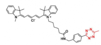 ݼȾCy5-Methyltetrazine/׻ຣհl(f)䲨LEx/Em(nm)655/678