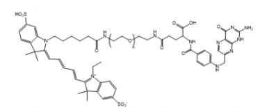 ɹȾCy5-PEG-Folate/Ҷ-~ȷDMSO