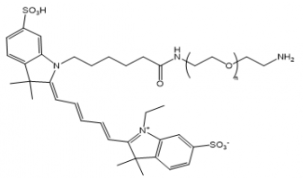 ɹȾCy5-PEG-NH2/Ҷ-aƷ(sh)PaƷB