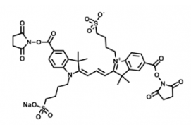 ˮԟɹȾdiSulfo-Cy3 bis-NHS ester/Cy3-Ex/Em(nm) 557/575