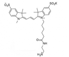 ˮԻɹȾdiSulfo-Cy3 C2 amine/NH2/Ex/Em(nm) 552/563