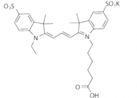 ˮԻSulfo-Cy3 carboxylic acid/COOH/Ȼ(Ethyl) CAS:146368-13-0Ex/Em(nm) 548/562