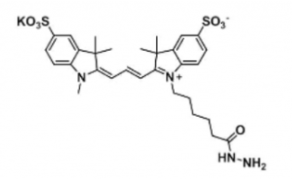 ˮԶɹȾdiSulfo-Cy3 hydrazide/N3/BCAS:2144762-62-7Ex/Em(nm) 548/563