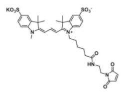 ˮԻɹȾdiSulfo-Cy3 maleimide/R(li)CAS:1656990-68-9ܽȽ