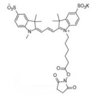 ˮdiSulfo-Cy3 NHS ester/׻ (Methyl)CAS:1424150-38-8ʲôɫ
